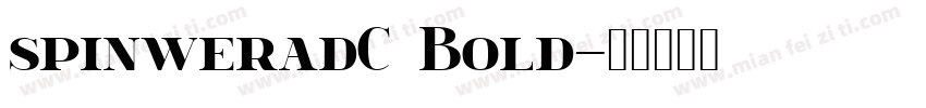 spinweradC Bold字体转换
